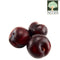 Plum Australia Organic