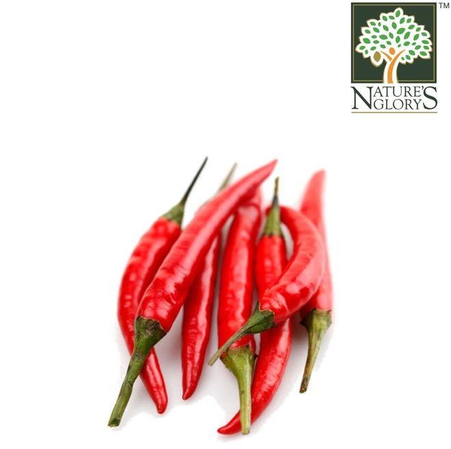Red Chilli Local - Nature's Glory Singapore