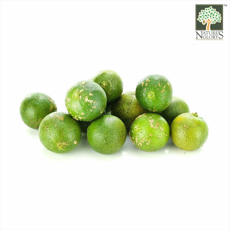 Small Lime Local (Certified Organic At Farm) (Pre-Order Required)