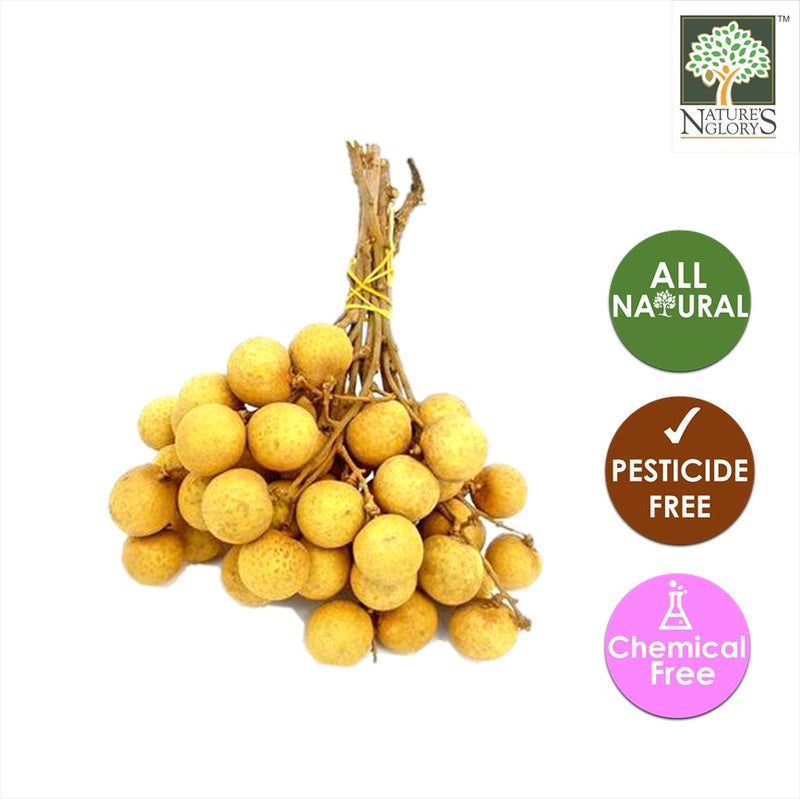 OG Longan Thai 1 pkt