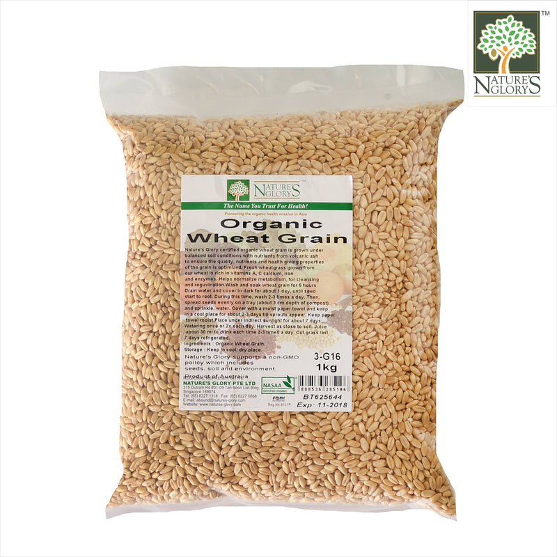 Wheat Grain Nature's Glory 1kg Organic (NA 8131P)