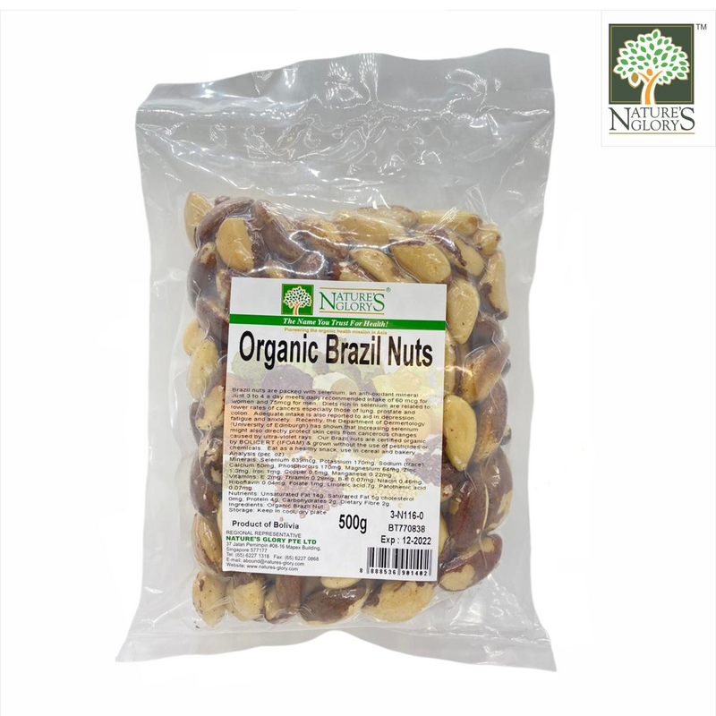 Organic Brazil Nuts 150g/500g by Nature’s Glory Singapore